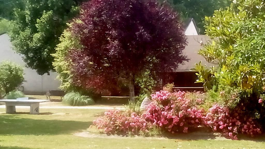 VVF Villages   Les Rives de Dordogne   Martel-Gluges Exterior foto